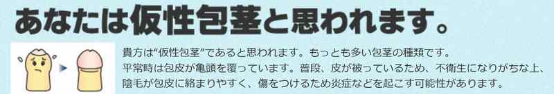 包茎手術のカウンセリングと診察の結果